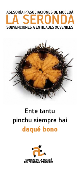 Folleto subvenciones IAJ 2013